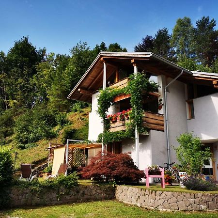 Bed and Breakfast Minavill La Casa Sulle Dolomiti Фьера-ди-Примьеро Экстерьер фото