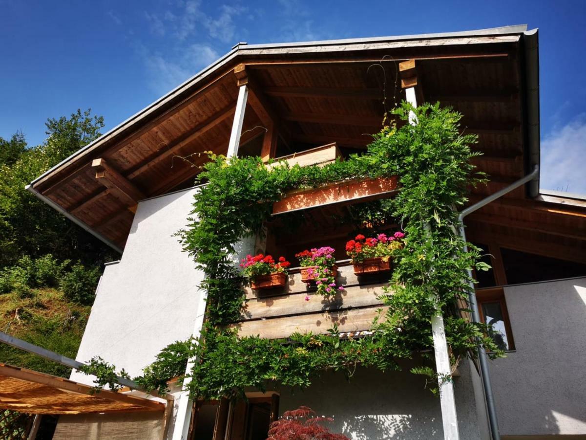 Bed and Breakfast Minavill La Casa Sulle Dolomiti Фьера-ди-Примьеро Экстерьер фото