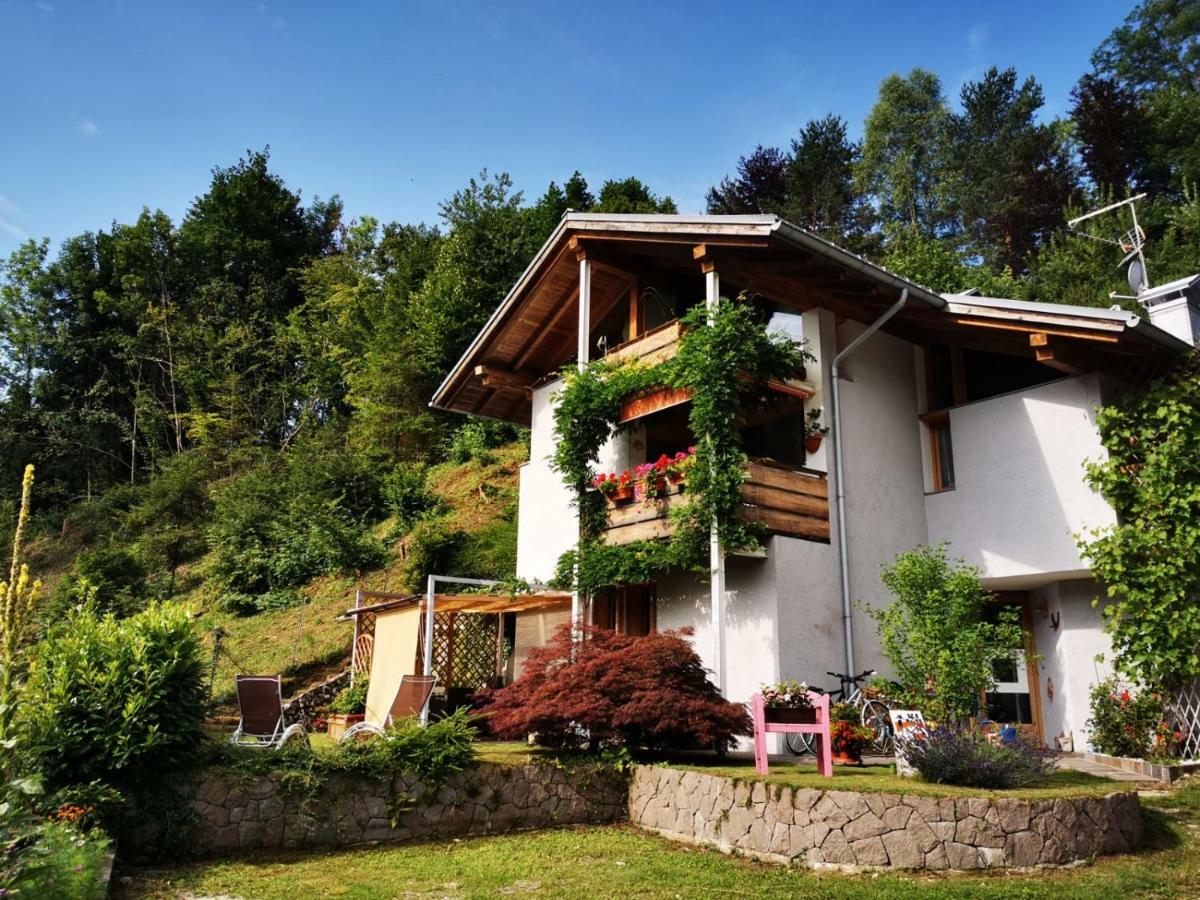 Bed and Breakfast Minavill La Casa Sulle Dolomiti Фьера-ди-Примьеро Экстерьер фото